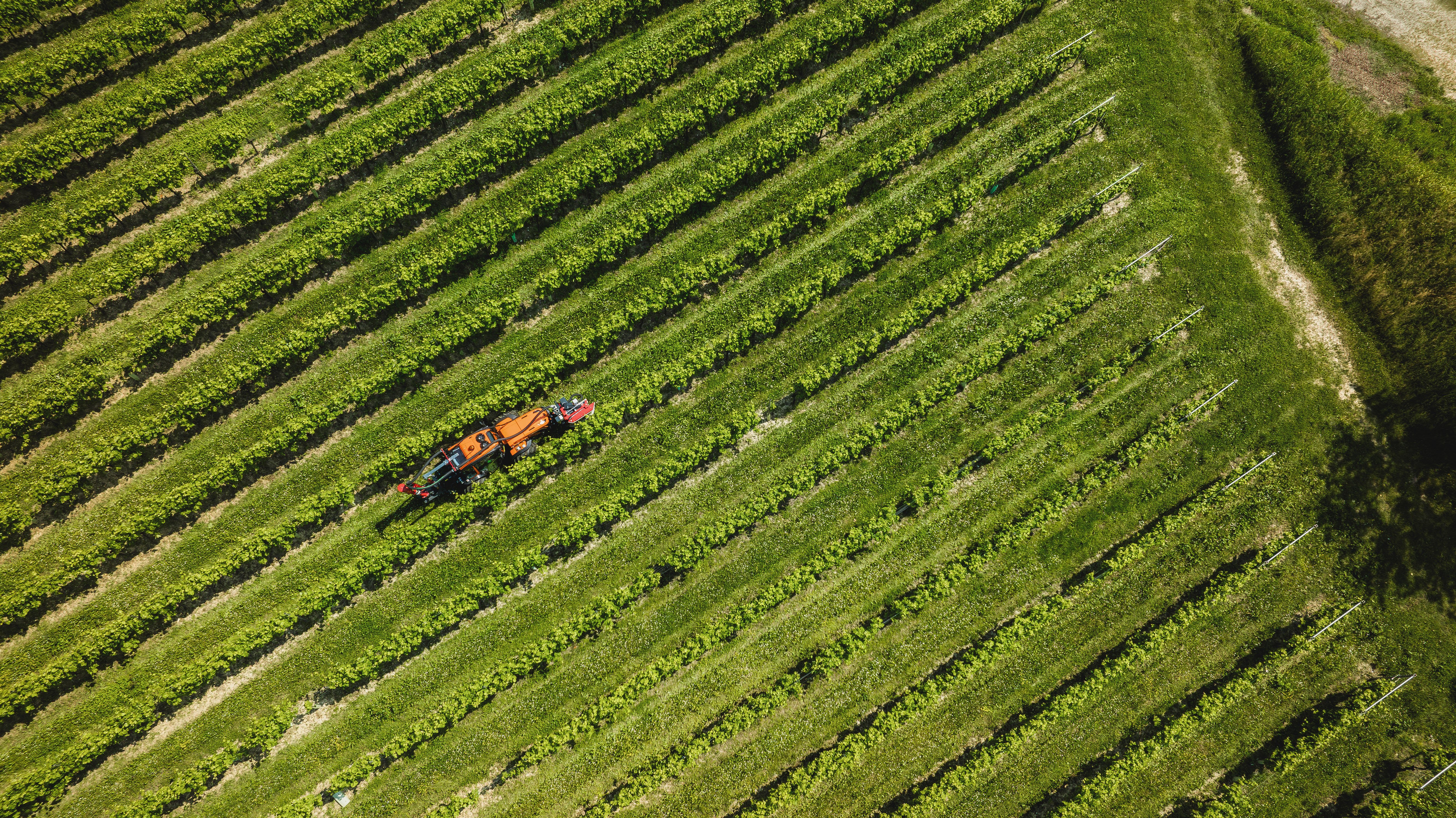Life Atena-4(DJI_20250514143929_0051_D-_-NR)